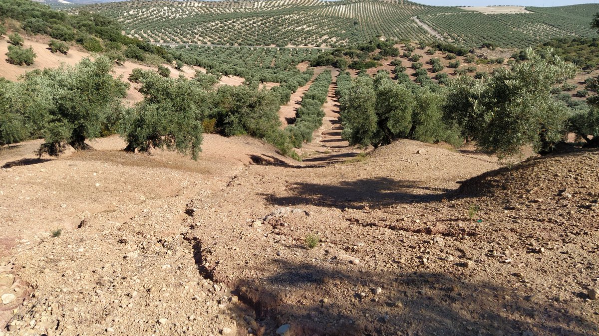 borjasantos89's tweet photo. Cómo hemos llegado hasta aquí? 🤦 #erosion https://t.co/AqkaiWOEdh