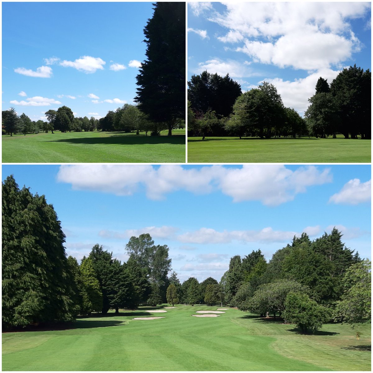 Royal Tara Golf Club tweet media