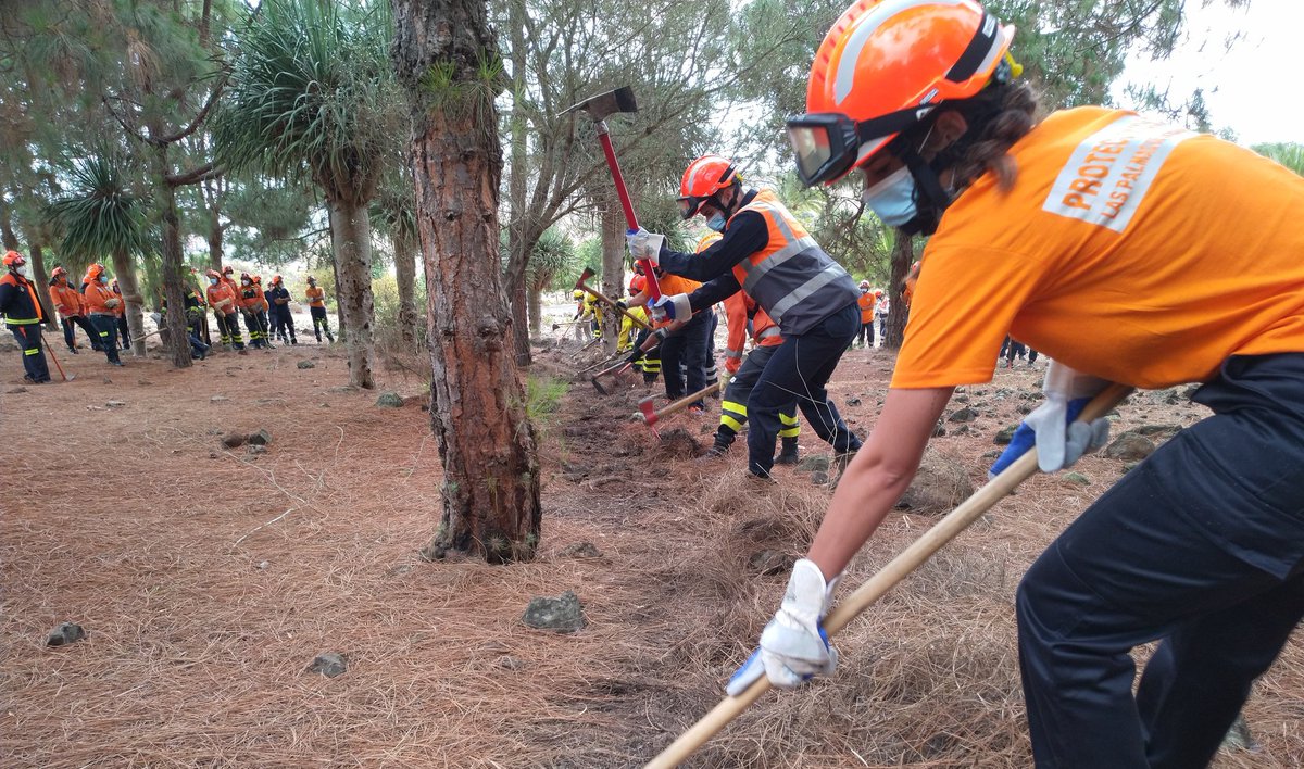 ProteCivilLPA's tweet photo. Ayer en el área recreativa de San José del Álamo 24 voluntarios @ProteCivilLPA realizaron las actividades praticas del Curso  "Modulo Básico Incendios Forestales" Nivel I, impartido por @FedericoGrillo4 que contó colaboración de #UOFF #Presa @GranCanaria_M_A https://t.co/Is54zntSyP