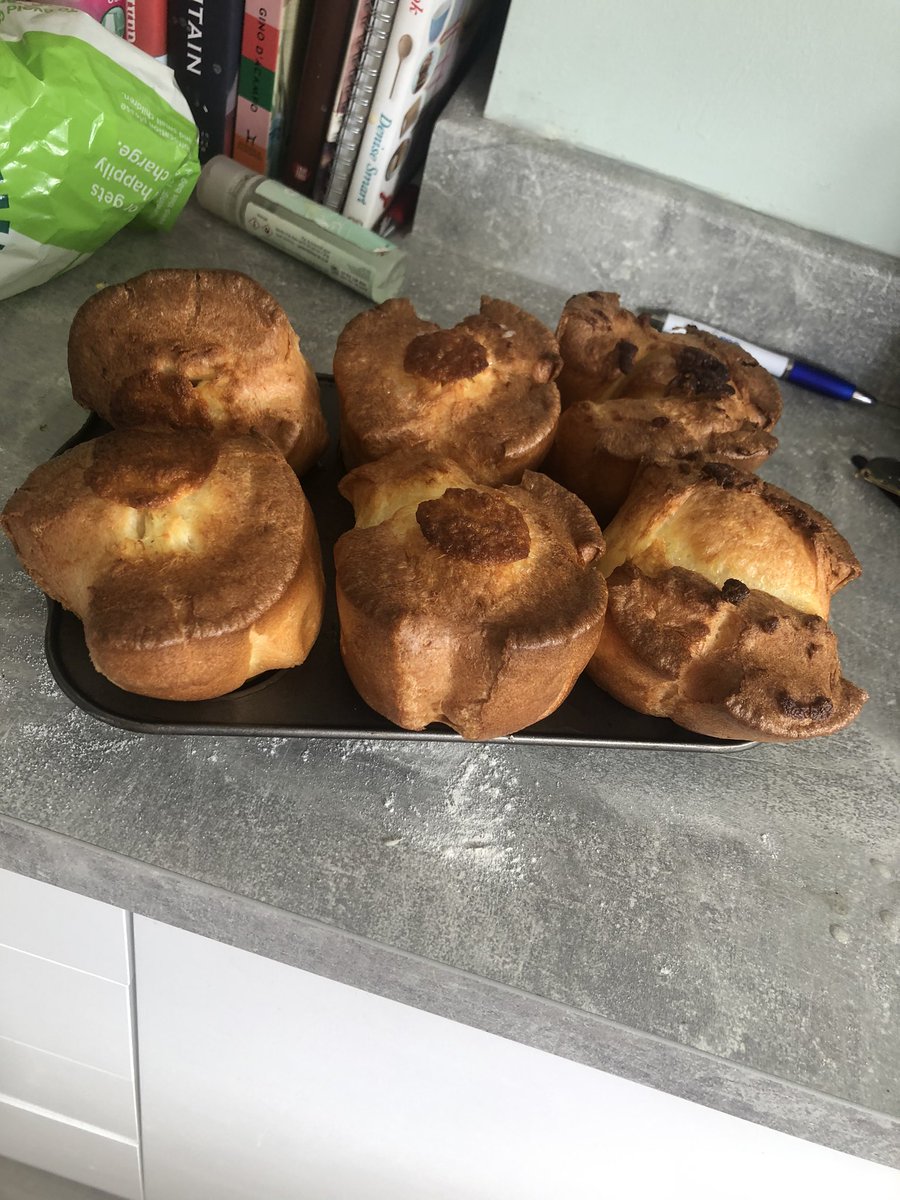 Yorkies!!! What do you call them?!