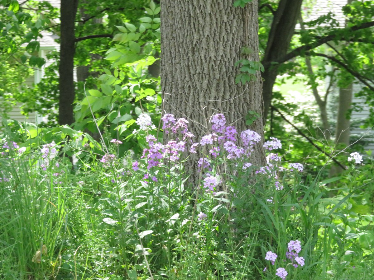 PLKlein_Author's tweet image. "Take nothing but pictures. Leave nothing but footsteps. Kill nothing but time." ~ #TheCountrysideCode #ThinkBIGSundayWithMarsha #ThinkingOutLoud #QuickQuotes #SundayThoughts #SundayMotivation #Pictures #Footsteps #Time