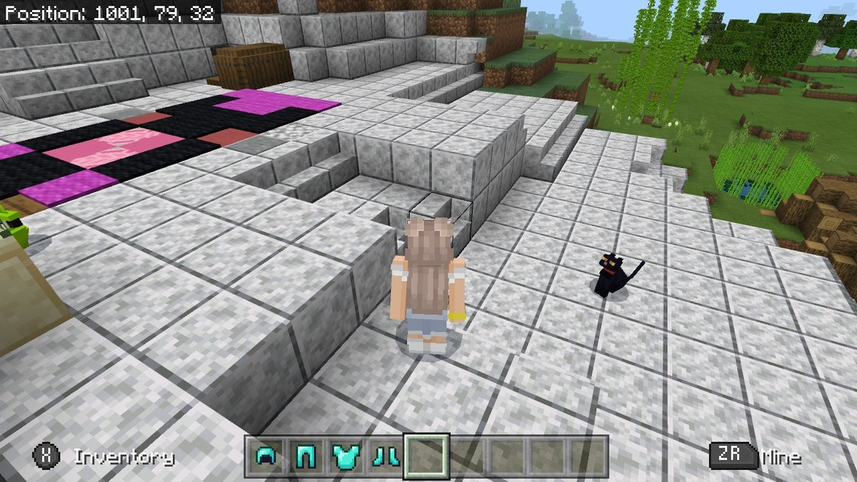 #Minecraft #NintendoSwitch