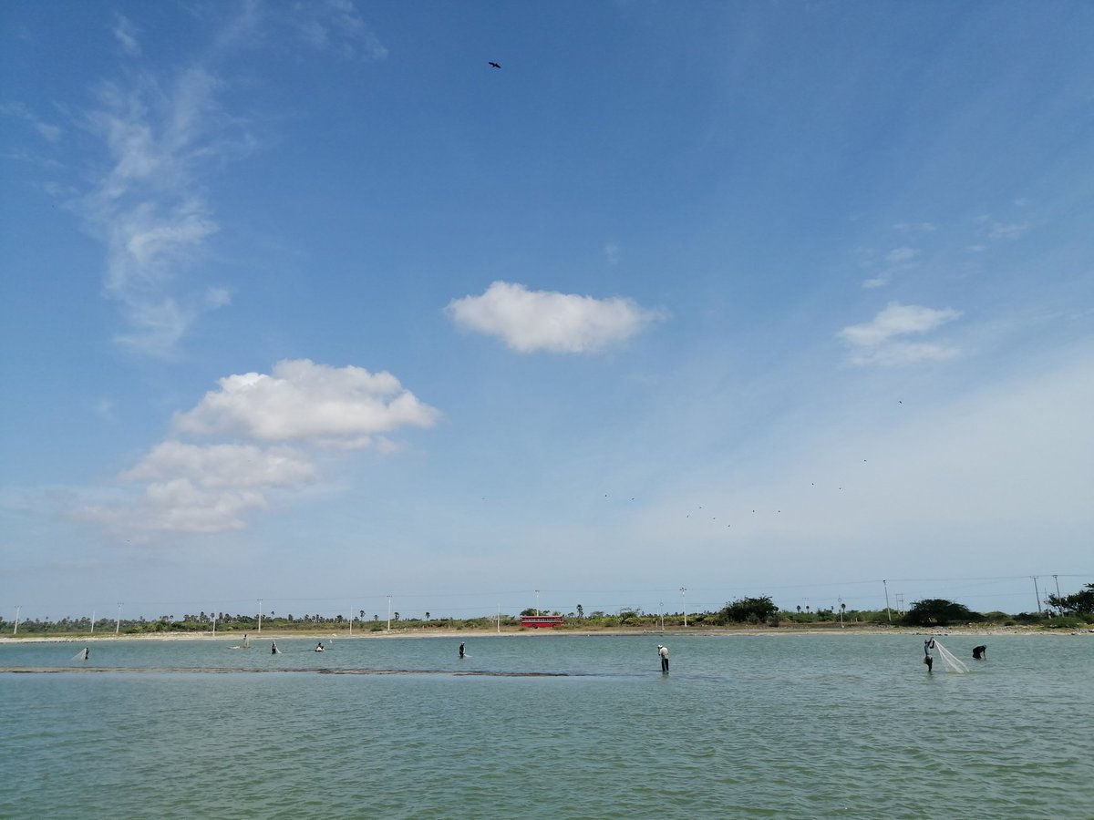  #Thondamanaru  #SriLanka  #lka #jaffna  #beauty  #journalism  #mojo  #socialwork