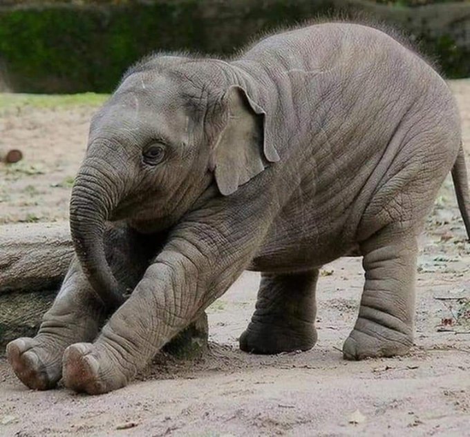 View image on Twitter