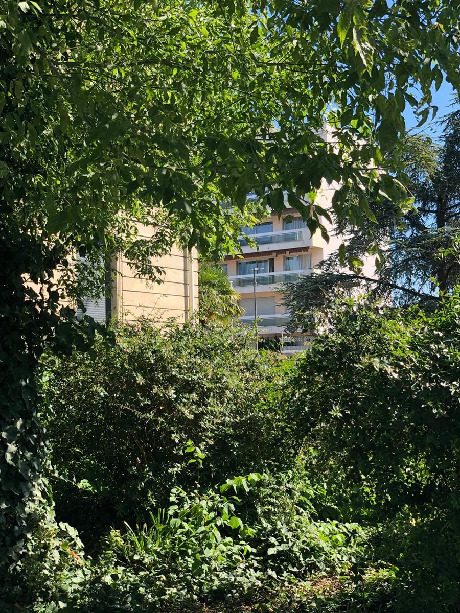 ID COMMUNE Houilles tweet media