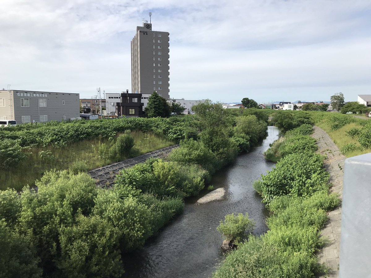 北海道の清流で 左目のカレイ が釣れた 実は川にもいる興味深いカレイの分類や生態の世界の話 Togetter 北海道の清流で 左目のカレイ が釣れた 実は川にもいる興味深いカレイの分類や生態の世界の話 Togetter