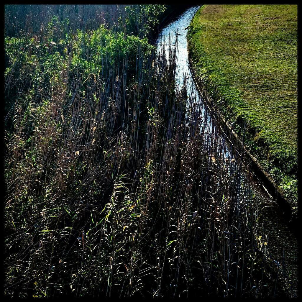kschoemaker's tweet photo. Innercity battles nature vs human. #nature #southafricaletsme #travellife #tourism #landscape #innercity #plants #botany #visualsgang #visualsoflife #beauty #meetsouthafrica #design #southafrica #photography #workatplay #travel #afritravel #agameoftone… https://t.co/KqnIN6qlCk https://t.co/yMn40HJsr5
