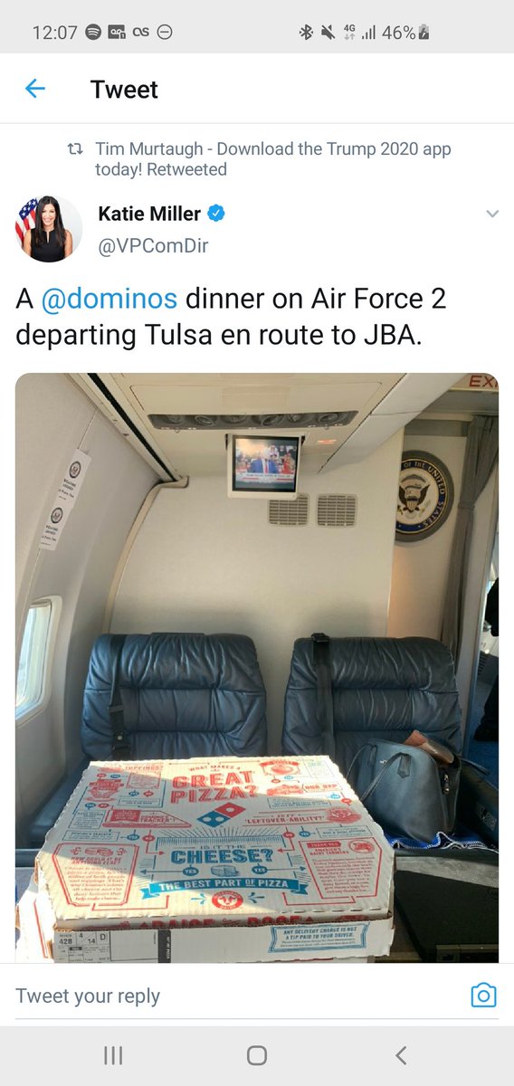 mete0rstrike's tweet photo. @dominos Actually it's quite clear where you stand in history. You clearly are endorsing @realDonaldTrump #dominos https://t.co/RDBZDQlxyP