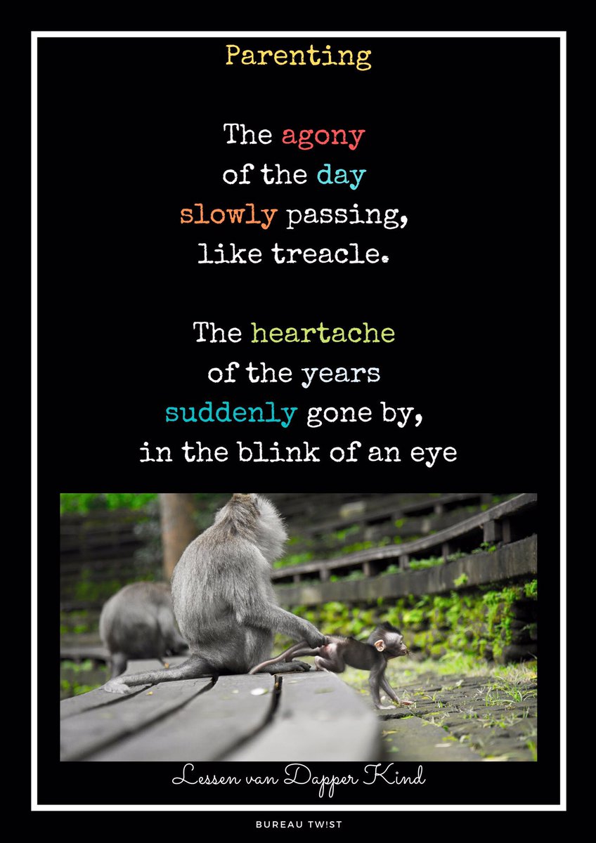 S. Huang tweet media