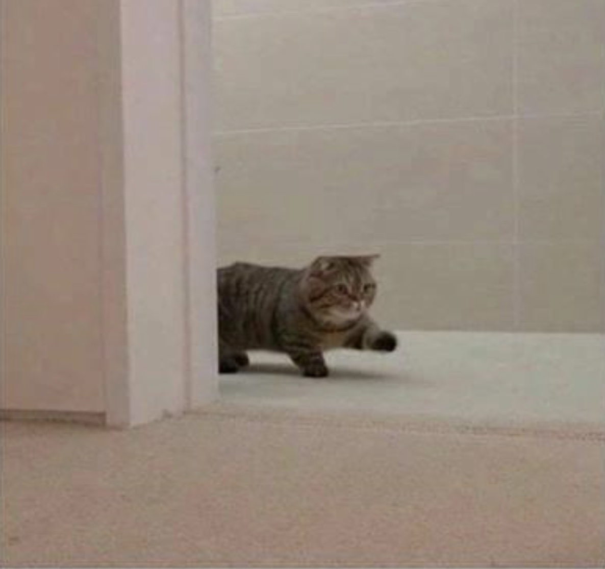 me on my way to roblox hq about to pelt their windows with roblox toys if they don't restore my account