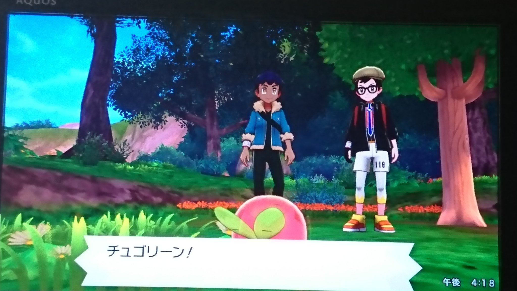 た ワクチン接種3回目済 木の上のカジッチュ 唐突の蜂の巣ポケモン ポケモン剣盾 T Co Ycoqwywacz Twitter