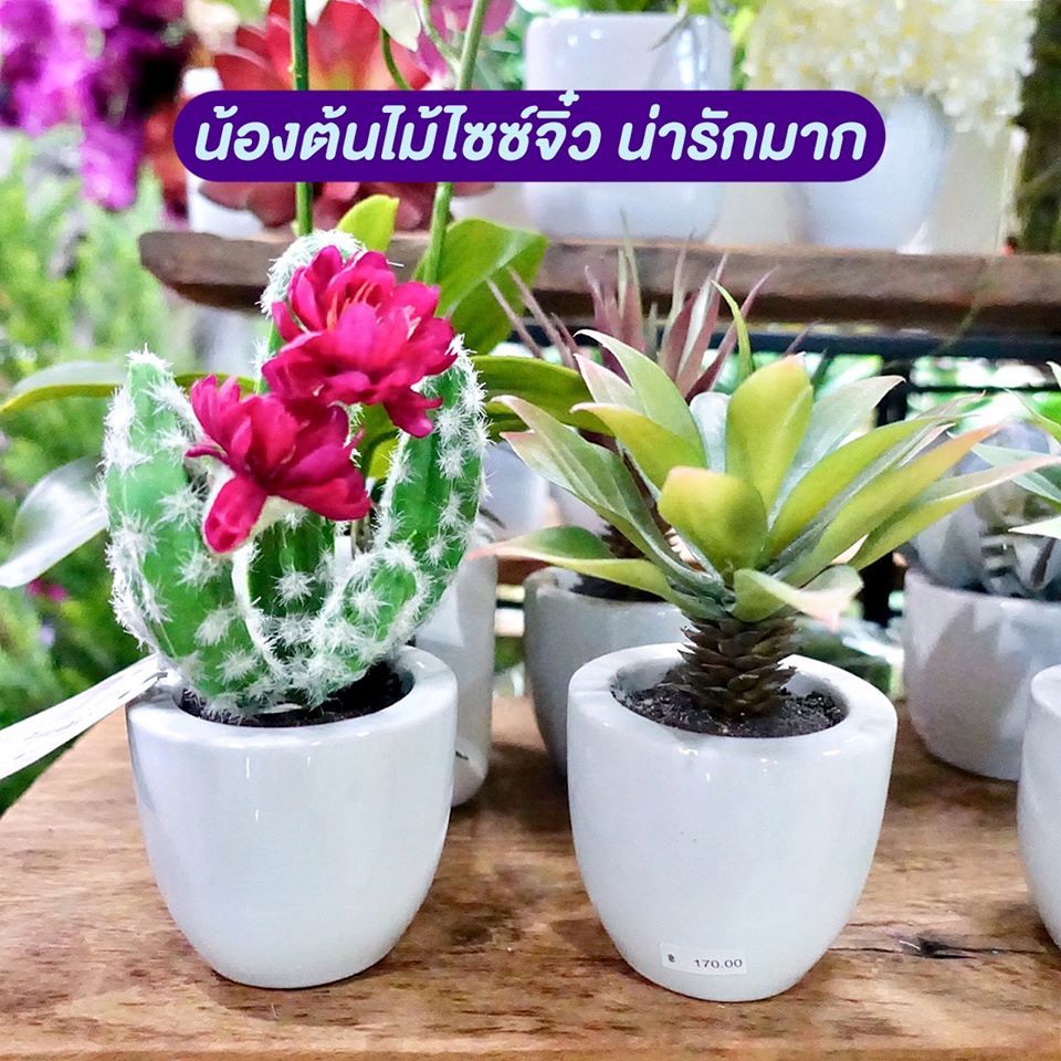 salehere1's tweet photo. 📣 ไปช้อปของมาเป็นพร็อพแต่งบ้านกันเถอะ!! Flower Gallery จะทำให้ทุกคนตื่นเต้นไปกับดอกไม้ปลอมหลายหลายชนิด แถมยังเป็นร้านขายดอกไม้ปลอมที่ใหญ่ที่สุดในย่าน 
⭐️ รายละเอียดเพิ่มเติม >> https://t.co/jh51yKpfGj
#SaleHere  #FlowerGallery https://t.co/SH8SZPna7W