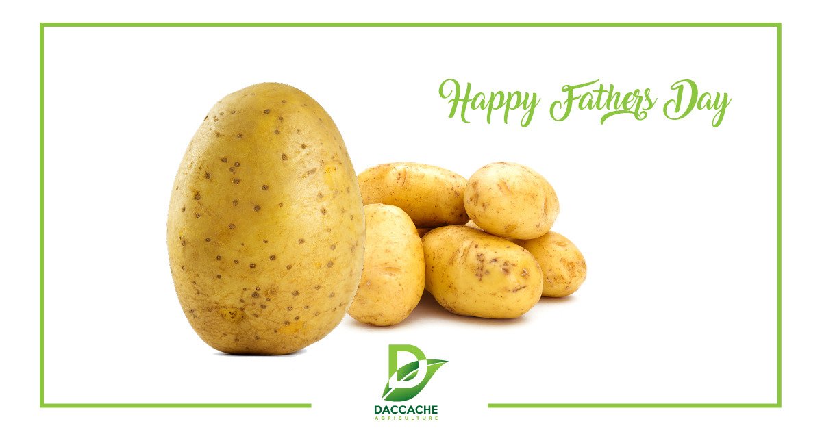 Daccache_agri's tweet photo. Happy Father's day!

#DaccaheAgri #FathersDay2020 https://t.co/yvfhJnX7wk