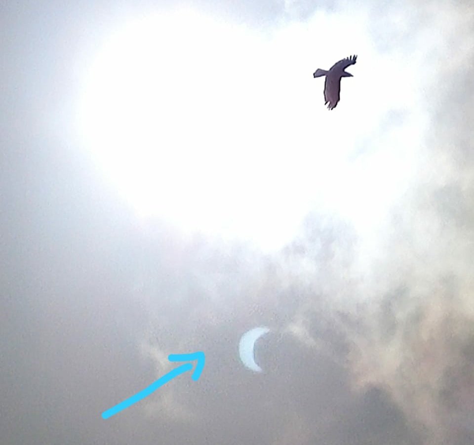 This is the reflection of the eclipse in camera lens.