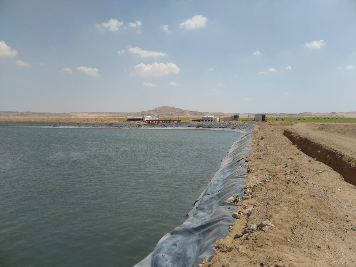 aquageimprove's tweet photo. COVID-19 doesn't stop us from supporting fish farmers. Desert aquaculture and integrated fish and plant farming. 
#DesertAquaculture.#FarmingDeserts.#FarmingUnderCOVID19.
#IntegratedFishFarming. https://t.co/DOxacz8kJY