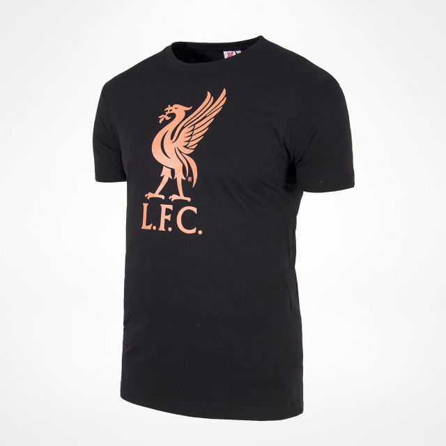 TÄVLA MED OSS &amp; @SAMDODDSFORLIFE!

- Följ <a href="/LFCPodden/">LFC Podden</a>
- Retweeta detta
- Tippa Everton v LFC inkl sista målskytt och minut för sista mål

Vinn en grymt snygg tisha från våra vänner på SamDodds! 🔴💪