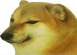 Toxic_Legend165 tweet media