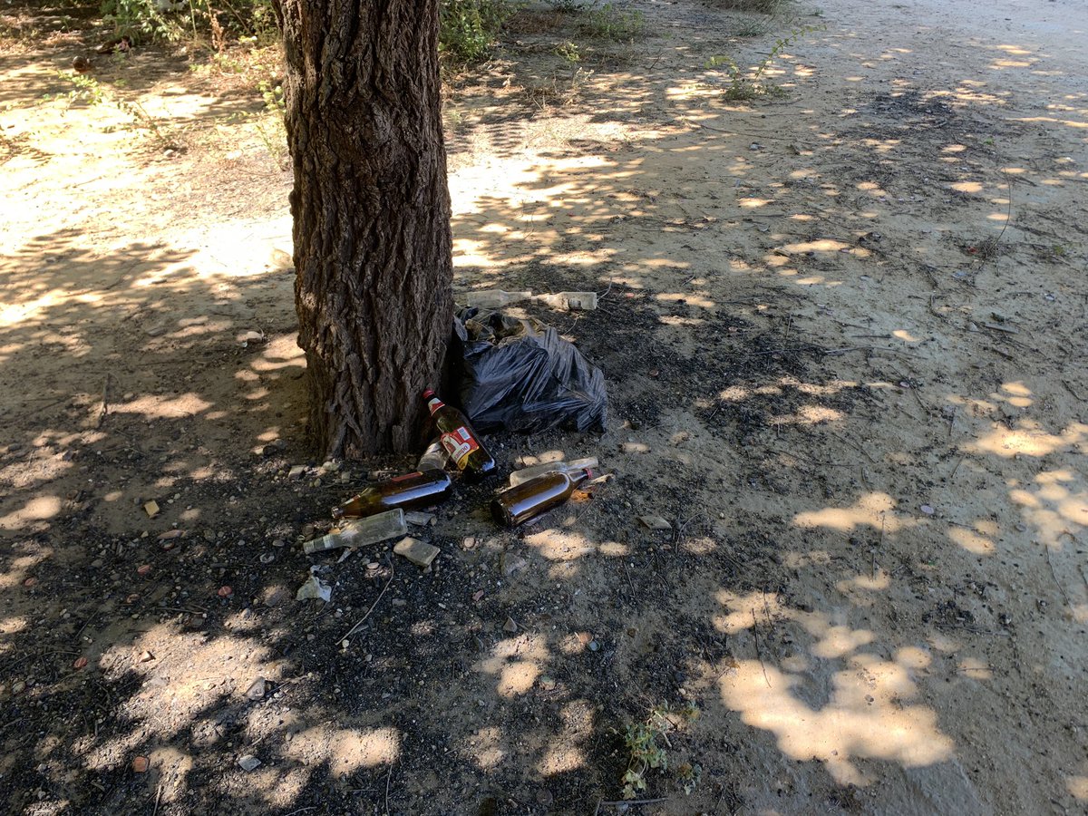 enrique_mir's tweet image. @Montequinto_ así está el descampado cerca de mi casa. Lo que durante la pandemia parecía un jardín ahora parece un vertedero