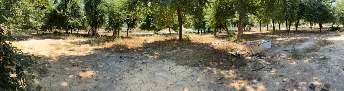 enrique_mir's tweet image. @Montequinto_ así está el descampado cerca de mi casa. Lo que durante la pandemia parecía un jardín ahora parece un vertedero