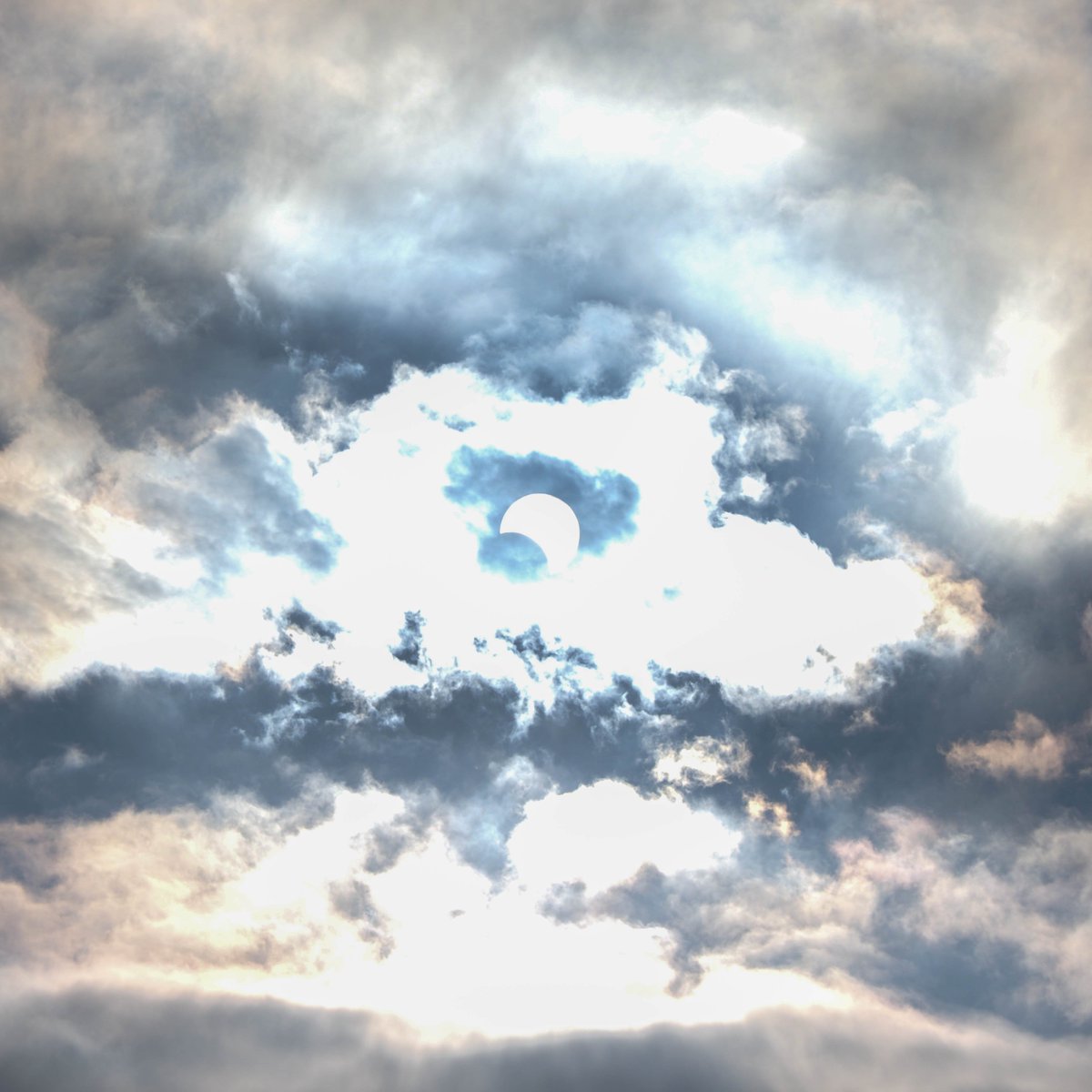 Z-OUT:じじ tweet media