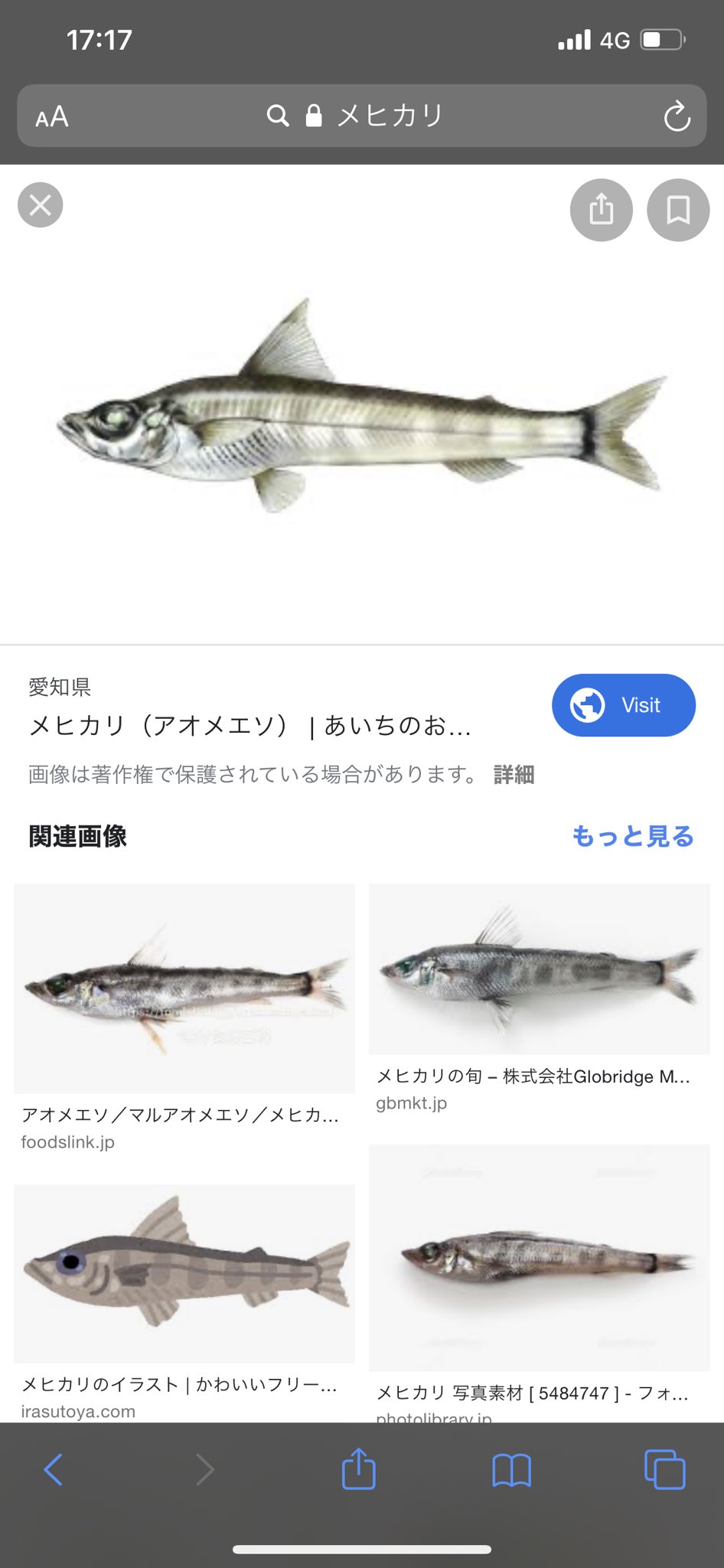 ヘルカイザー星野 いますよ