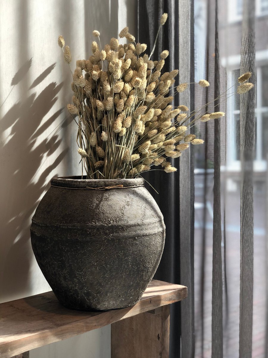 MTsfeeridee's tweet photo. 𝐕𝐫𝐨𝐥𝐢𝐣𝐤𝐞 𝐯𝐚𝐝𝐞𝐫𝐝𝐚𝐠
Wij wensen iedereen een vrolijke vaderdag! Een heerlijke dag als eerste zomerdag, niet? Geniet! 
https://t.co/1kwiCVJlCl https://t.co/gLsEPIetUN