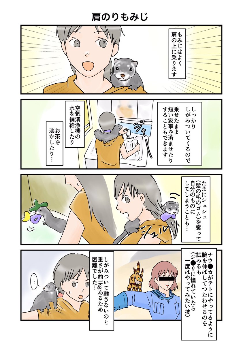かわ さくもみにっき 21日目 猫のように敏捷性はあまりないので 落下には充分注意です あくまでも もみじの場合って感じです さくらは無理 動物イラスト 四コマ漫画 フェレット さくもみにっき 漫画が読めるハッシュタグ