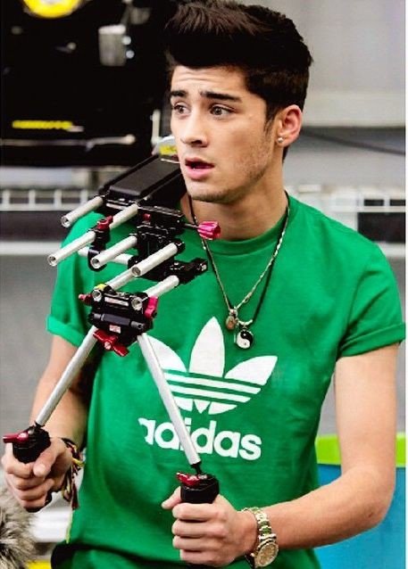 Green Parrot Zayn