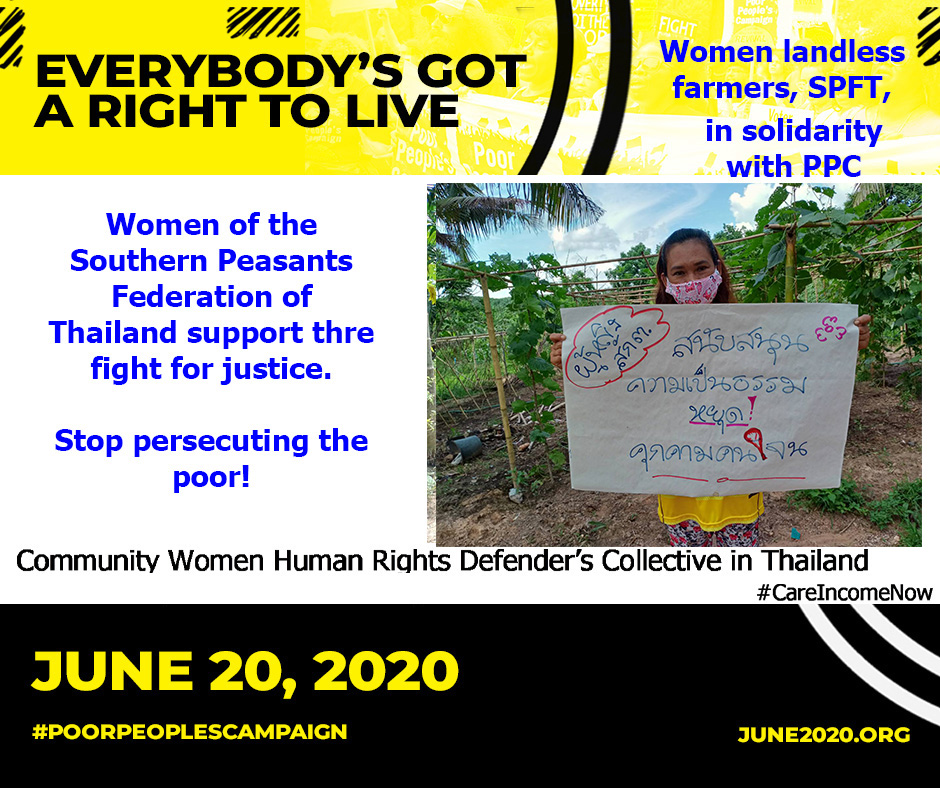 Community Women's HRD Collective in Thailand tweet media