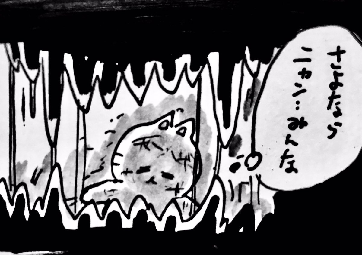 ネコ太郎? 