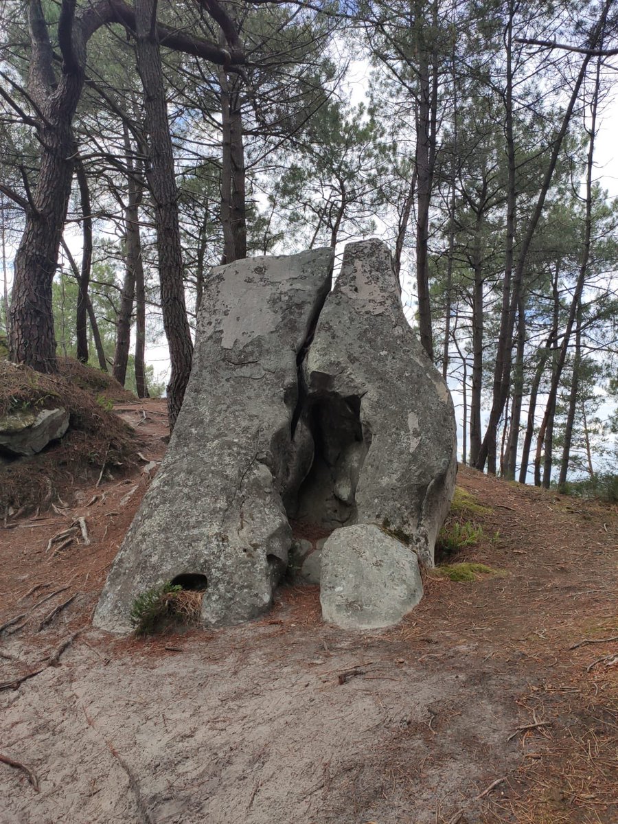 Did you played My Jigsaw Adventures: A Lost Story? We found a broken portal in the woods today 
#indiegame #nature #NaturePhotography