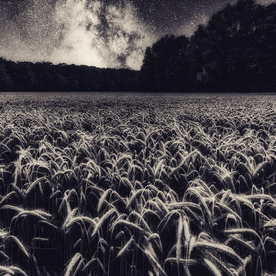 The night is come, but not too soon;
And sinking silently,
All silently, the little moon
Drops down behind the sky.
.
.
.
.
.
.
.
#photography #canon #sonyalpha #nikon #photooftheday #photographer #instagood #photo #love #ig #instagram #nature #fashion #picoftheday #portrait…