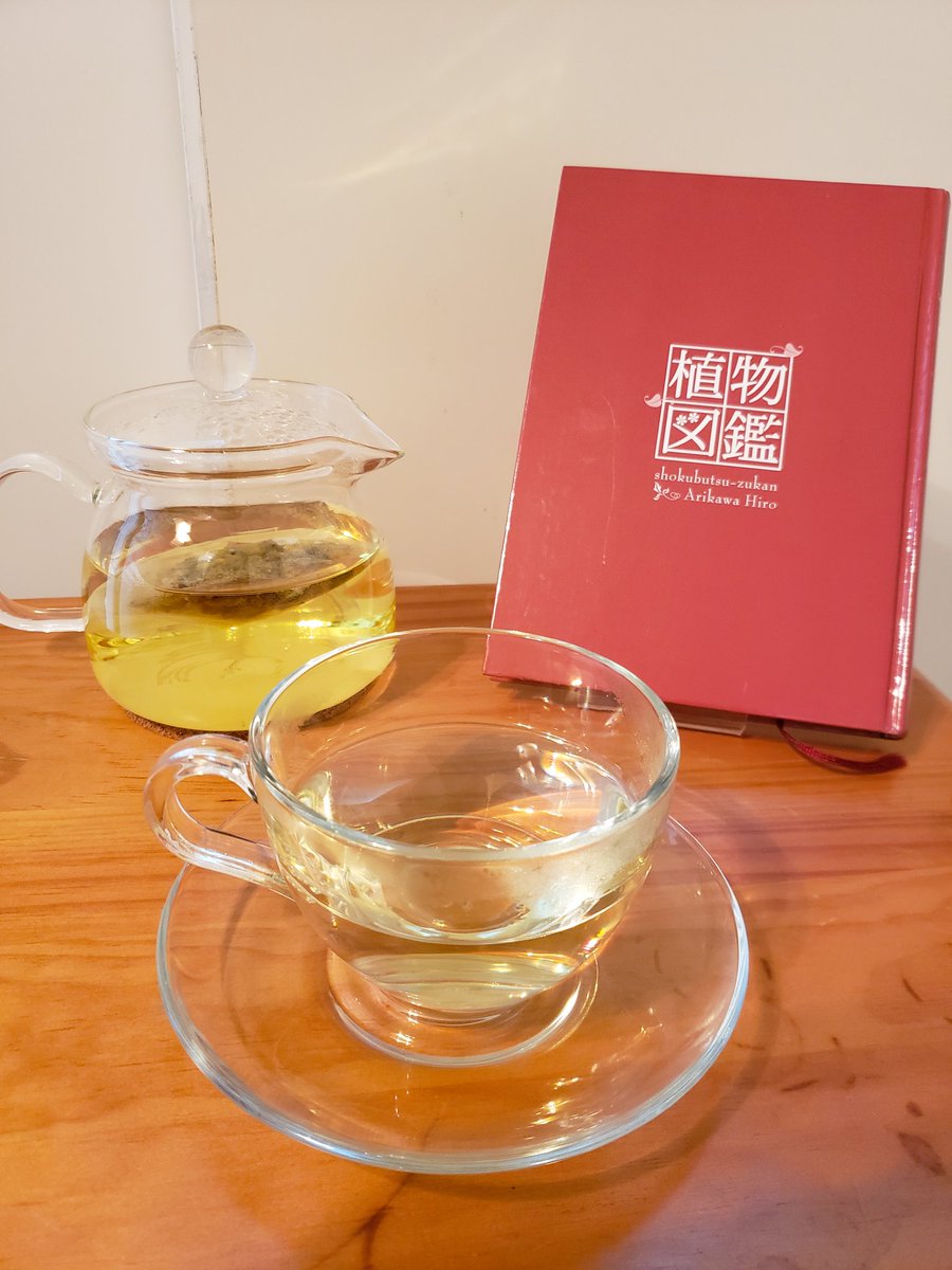ウッドチャック ハーブティー専門店 Auf Twitter カモミールティーは ハーブティーを初めて飲む方におすすめです 青りんごのような香りでとても飲みやすく シングルでもブレンドでも楽しめます 作用も幅広く 身体の不調から心の不調まで作用します 男性も飲み ウッドチャック ハーブティー専門店 Auf Twitter カモミールティーは ハーブティーを初めて飲む方におすすめです 青りんごのような香りでとても飲みやすく シングルでもブレンドでも楽しめます 作用も幅広く 身体の不調から心の不調まで作用します 男性も飲み