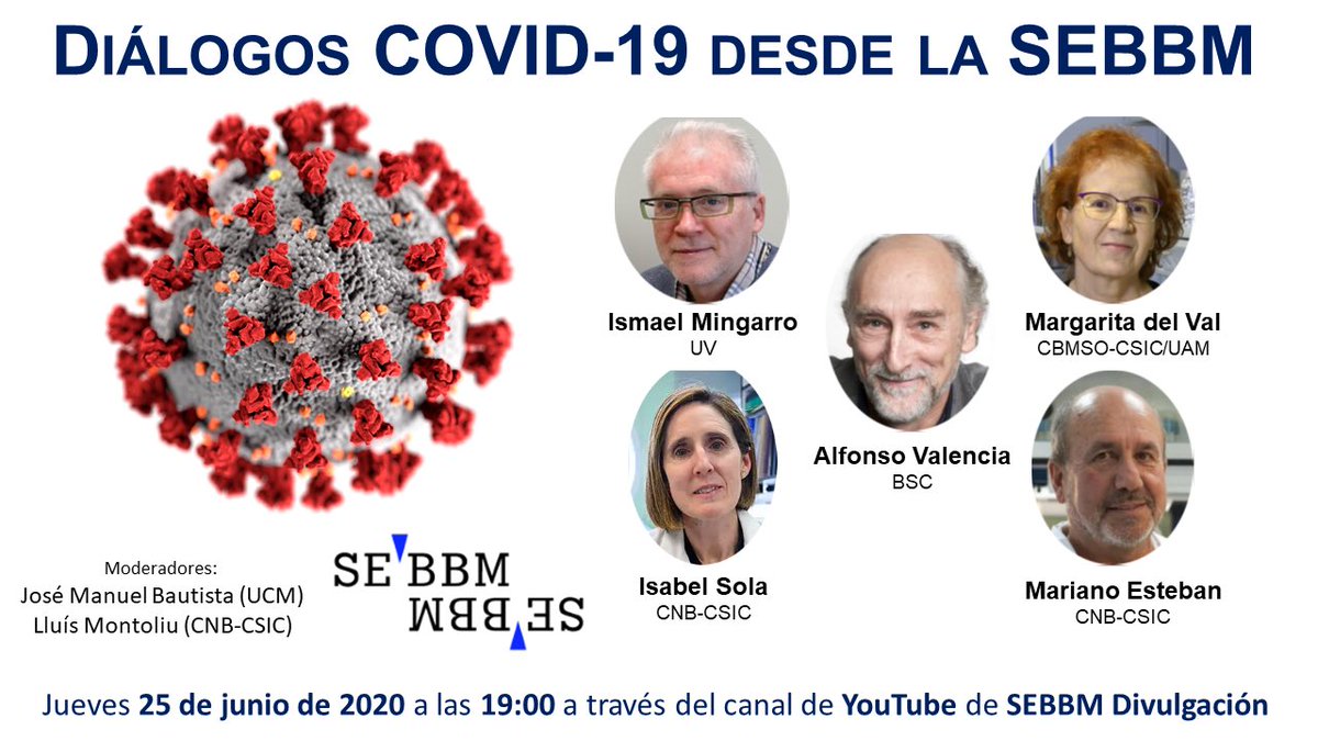 LluisMontoliu's tweet photo. Recordad que tenemos una cita en #YouTube el próximo jueves 25 de junio a as 19:00 para dialogar sobre la #COVID19 desde la @SEBBMDivulga con la participación de cinco grandes investigadorxs. @imincorreu @Alfons_Valencia M. del Val, M. Esteban e I. Sola. ¡Os esperamos a todxs! https://t.co/P0onsWfjAd