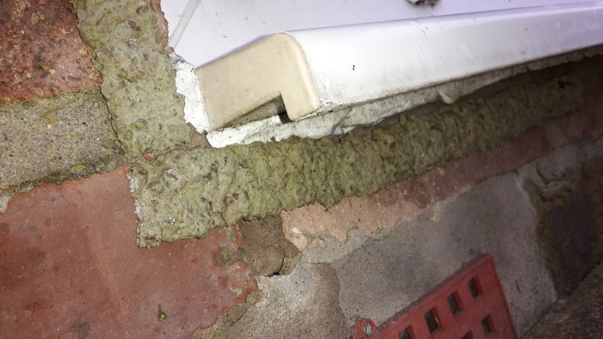 Hear at <a href="/slugBgone/">Slug Busters</a> we are very busy shipping orders #gardener #garden #environment #Flowers #FathersDay #plants #wildlife #slugsforsalt order now for #Delivery Keeping slugs and snails at bay from your home.