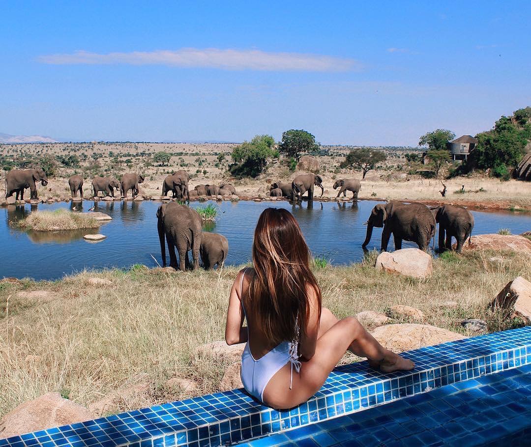 AmandusTravel's tweet photo. TANZANIA travel is more than a vacation. It’s a chance to get to know your world better by putting yourself on a first-name basis with the people, places, and things that make it worth exploring.

#fathersday2020 #HappyFathersDay2020 #HappyFathersDay #KenyaSaysThankYou #Leno https://t.co/uMaVL8DzGe