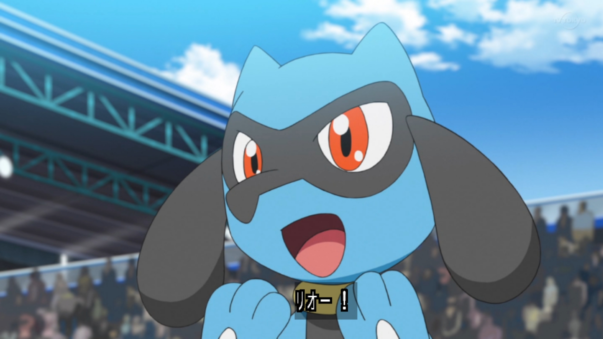 Zexy Sur Twitter これはリオル進化するね アニポケ Anipoke Pokemon25 T Co 0kybingysc Twitter