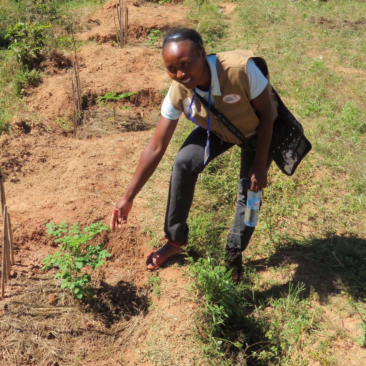 MFMadagascar's tweet image. Yes! @MFMadagascar is planting #Moringa #trees with vulnerable farmers in Madagascar to improve #nutrition #sustainablelivelihoods #health and #resilience to #ClimateChange.  Join our #treetwins to double the impact of this work!