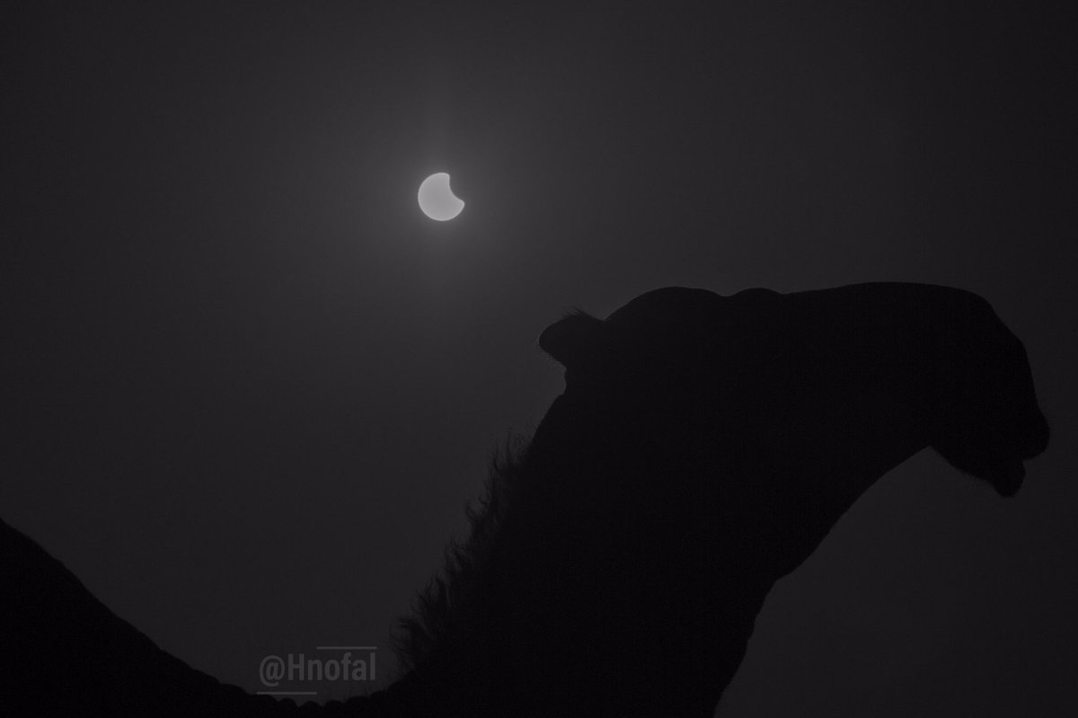 Hnofal_'s tweet photo. ظاهرة #الكسوف من الضلعة في #عنيزة
#القصيم .. #تصويري 

#الكسوف_الحلقي_٢٠٢٠ 
#SolarEclipse2020 https://t.co/AdmMxkzw0y