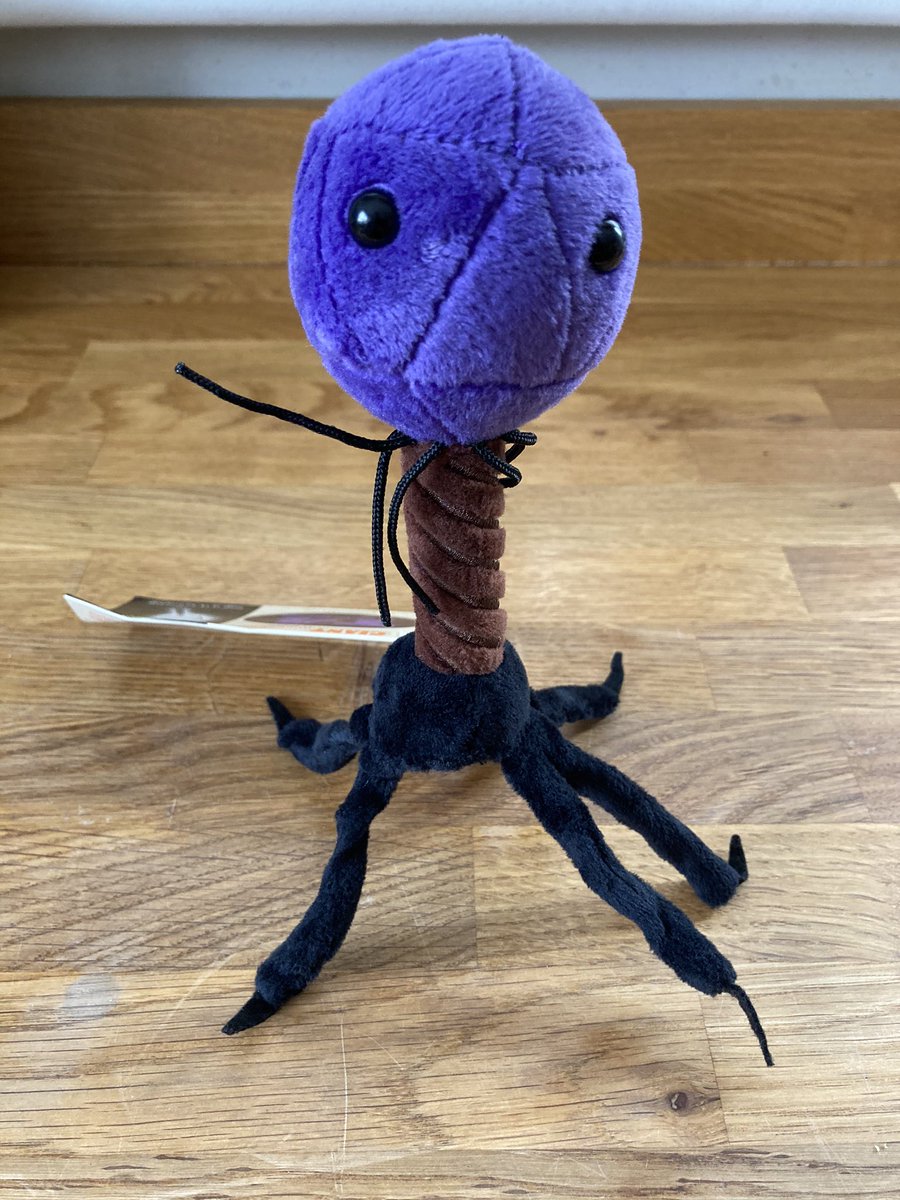 yersinia pestis plush