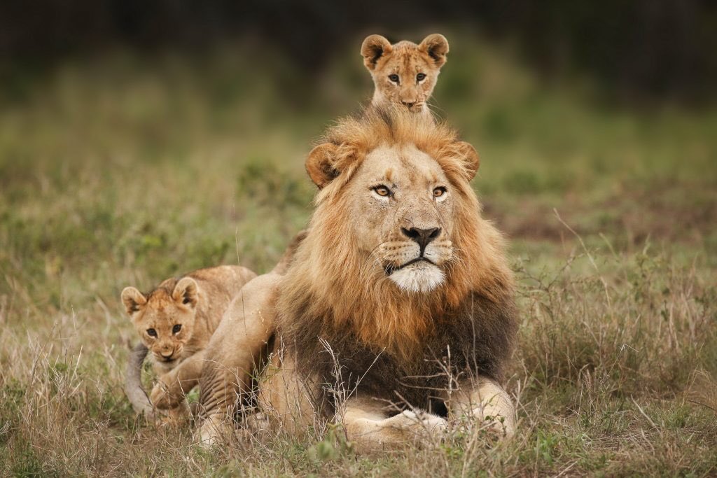 Wishing a happy Father’s Day to all you dads.