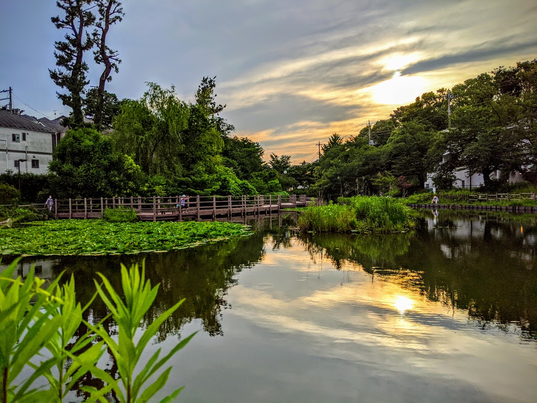 الوسم 篠原園地 على تويتر