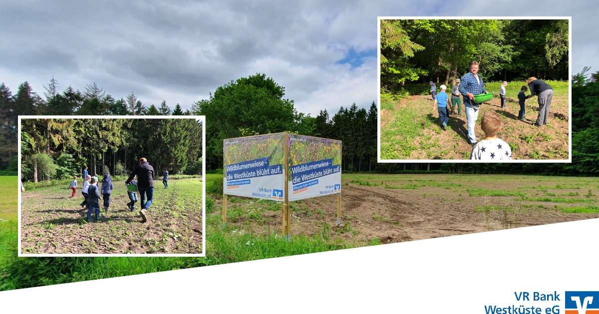 Der Gastwirt Holger Karstens hat eine Fläche zur Verfügung gestellt, damit  in Nordhastedt eine große Wildblumenwiese entsteht.🌼

Eingebracht wurde die Blumensaat dank der Kindergartenkinder des Ev. Katharinen-Kindergartens Nordhastedt👫

#vrbank #engagement