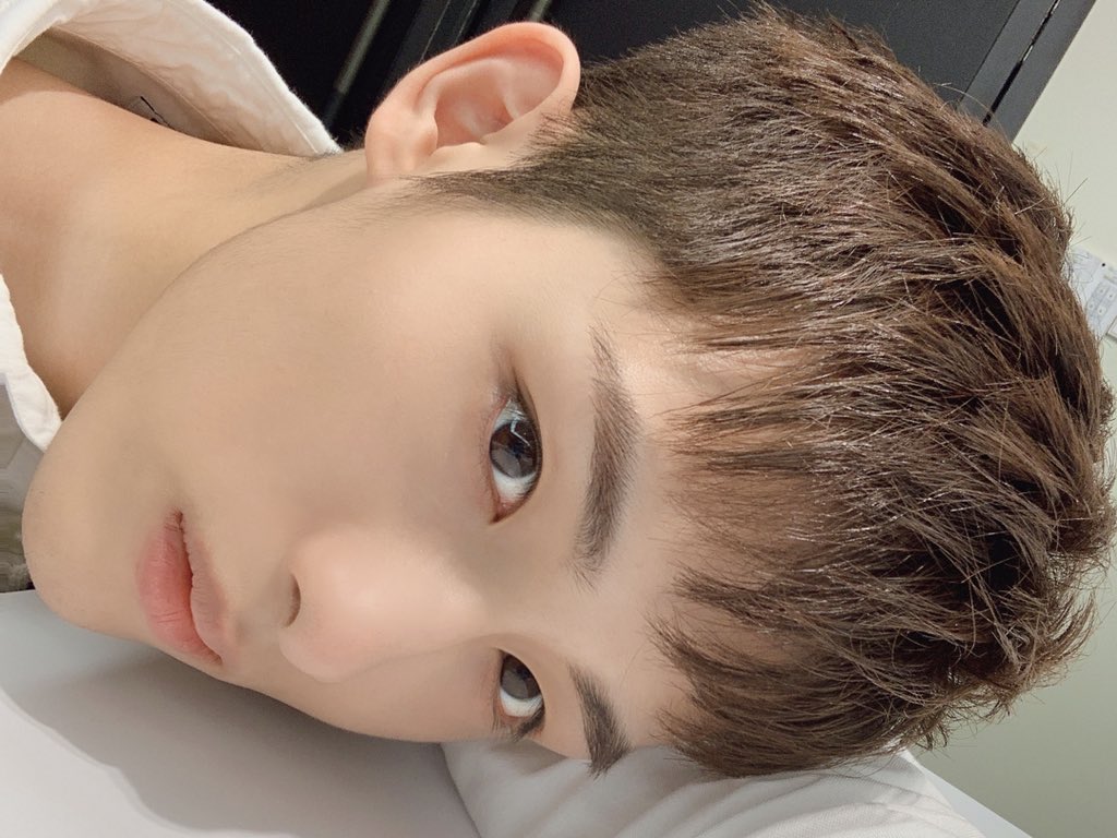이유로 tweet media