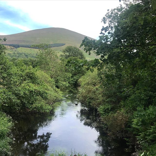 WalesTrails's tweet photo. Yesterday’s local walk around Waenfawr &amp; Moel Smytho gorgeous views. Here is afon Gwyrfai looking towards Moel Eilio. #mywalestrails .
.
.
.
#moeleilio #gwyrfai #gwynedd #northwaleswalks #northwales #northwalestagram…

📸 https://t.co/ydnFwLt8Fu via https://t.co/IFM5z5YKmS https://t.co/zuhbWP5ZMO