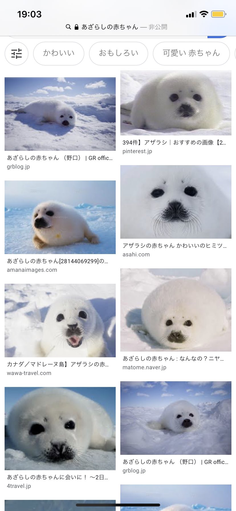 つきか イライラしてる時に見るアザラシの赤ちゃんはシャブ T Co 1afwe2hvdn Twitter