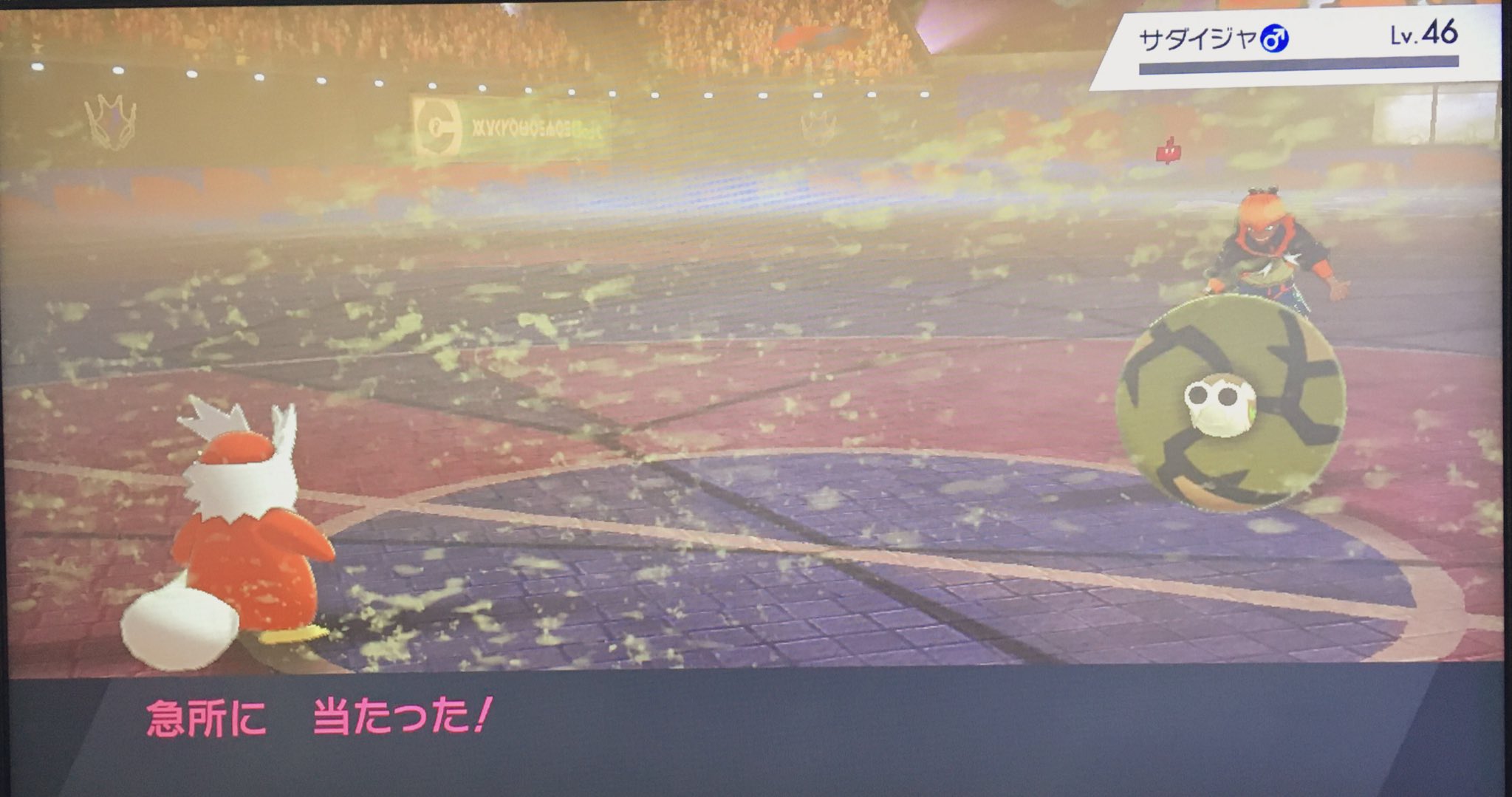 しろきち ポケモン剣盾デリバード一匹縛り7日目 今日一日ほぼキバナに時間持ってかれた ダブルバトルとかいう実質2対1戦闘だしタイプ有利技の連打だし 勝つまでに運の絡みがすごく必要な試合だった 二度と戦いたく無い ポケモン剣盾 T Co