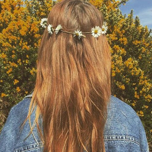 the anne aesthetic p2