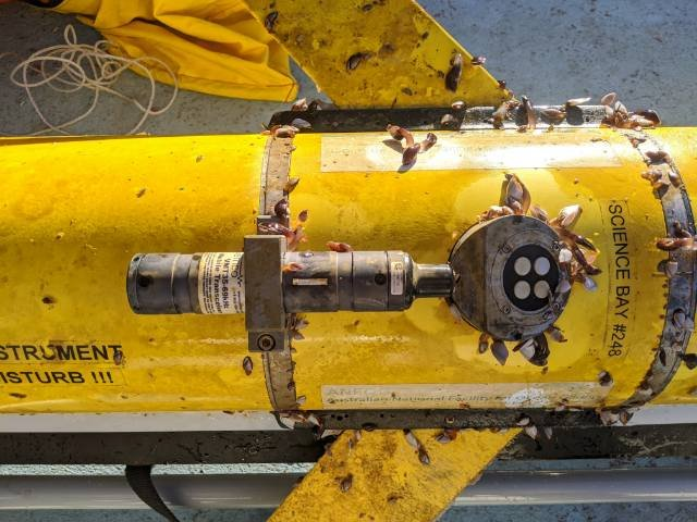 mttsubu's tweet photo. #University of #Western_Australia scientists rush to #save #ocean #glider in #retrieval #mission
if the #heatwave was to #continue as predicted, the north coast would likely see #large_scale #coral #bleaching similar to the country's eastern states.
https://t.co/pmKdoCn0L2 https://t.co/jCorWd7GmX