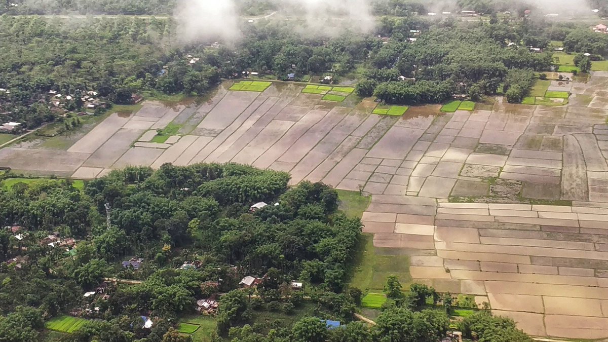 The jigsaw puzzle of " paddy fields" #mynortheastclix  #assam #Drive  #NorthEast  #everydayNEIndia  #photographer  #monsoon #paddy